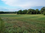 435 acres in Clay County