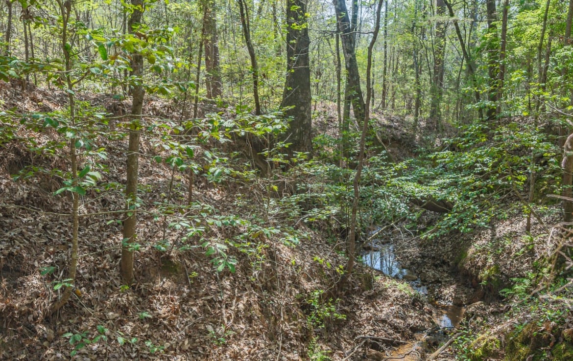 262 acres in Cass County