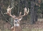 521 acres in Cass County