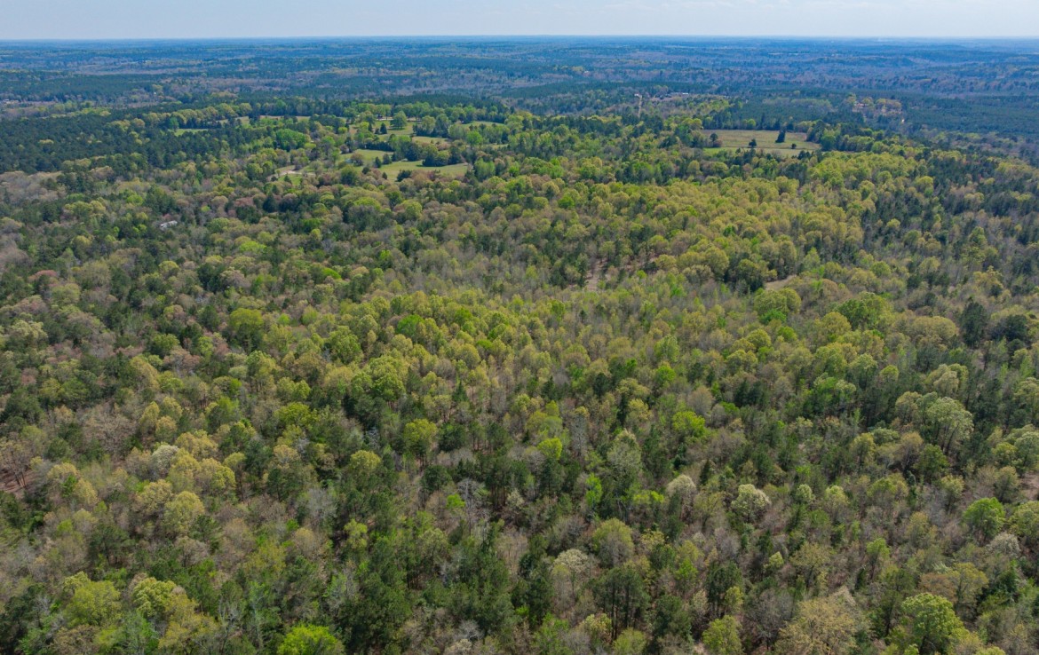 262 acres in Cass County