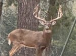 521 acres in Cass County