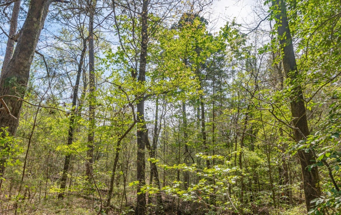 262 acres in Cass County