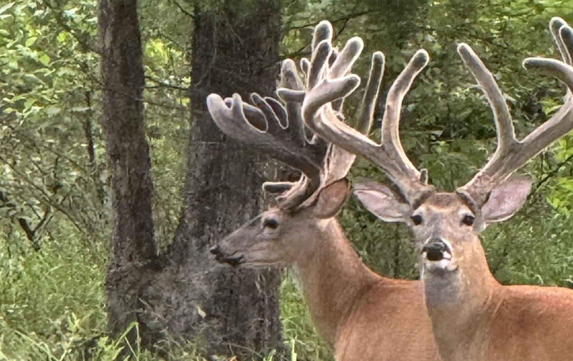 521 acres in Cass County