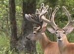 521 acres in Cass County
