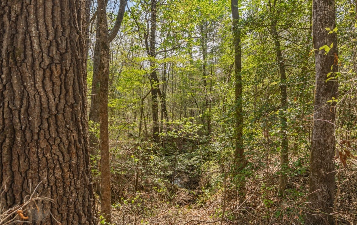 262 acres in Cass County