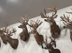 521 acres in Cass County