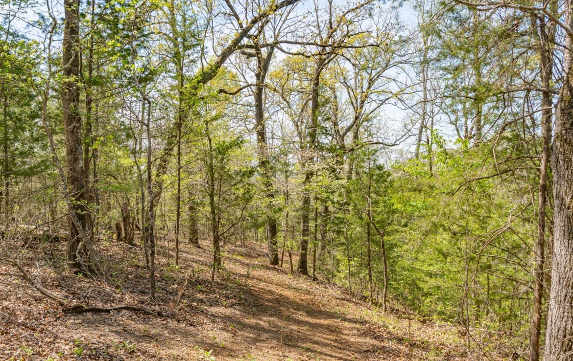 262 acres in Cass County