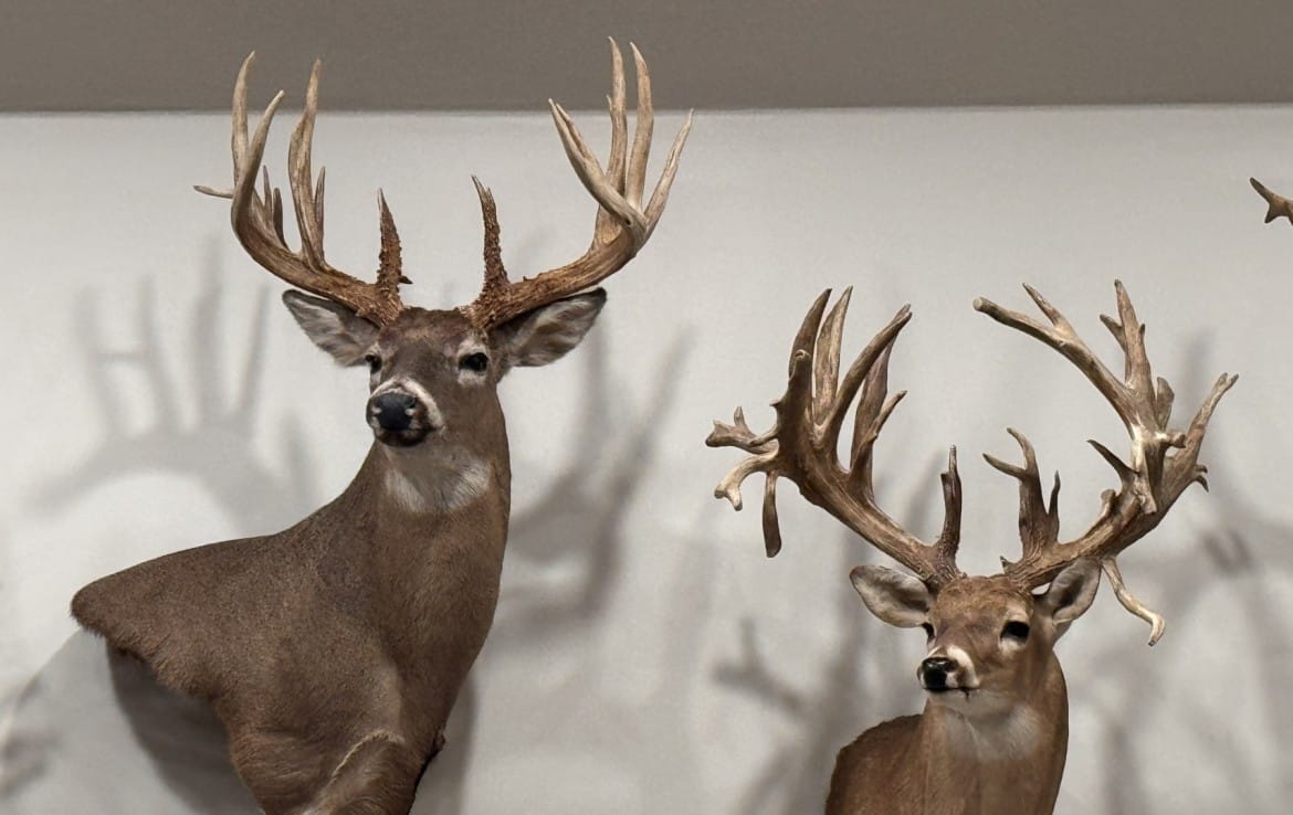 521 acres in Cass County