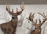 521 acres in Cass County