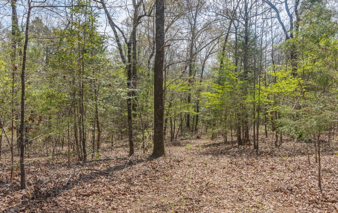 262 acres in Cass County