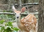521 acres in Cass County