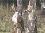 521 acres in Cass County