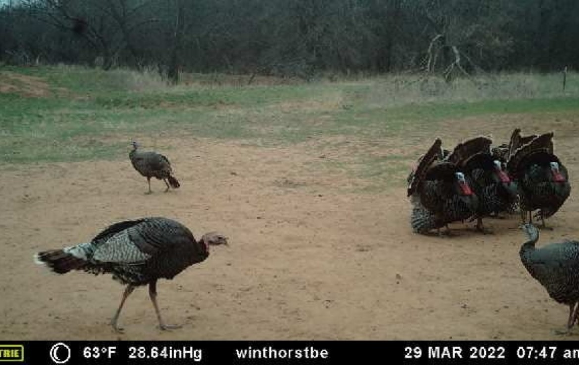 435 acres in Clay County