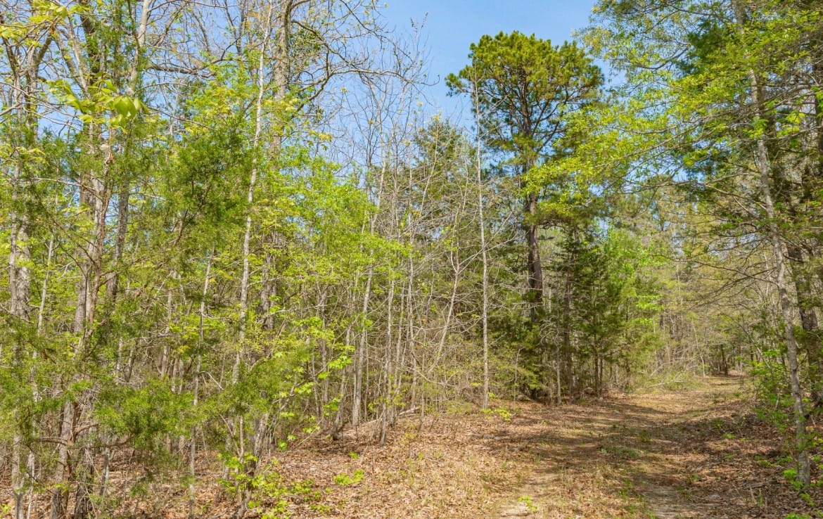 262 acres in Cass County