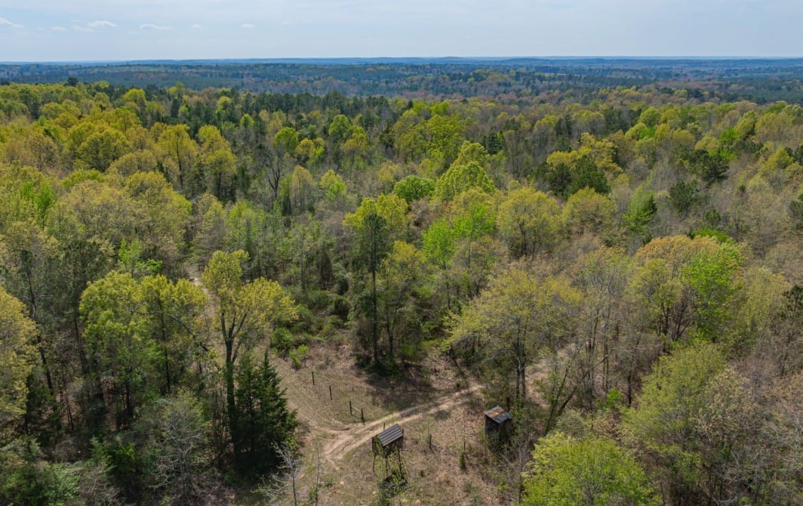 262 acres in Cass County