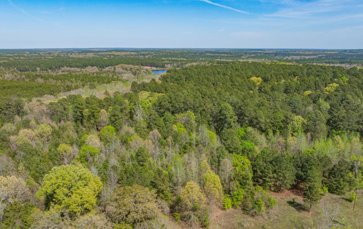 262 acres in Cass County