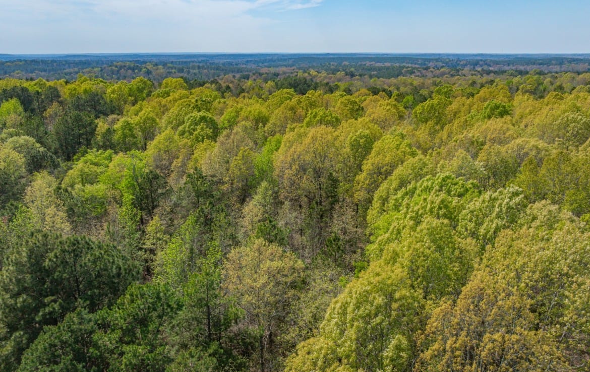 262 acres in Cass County