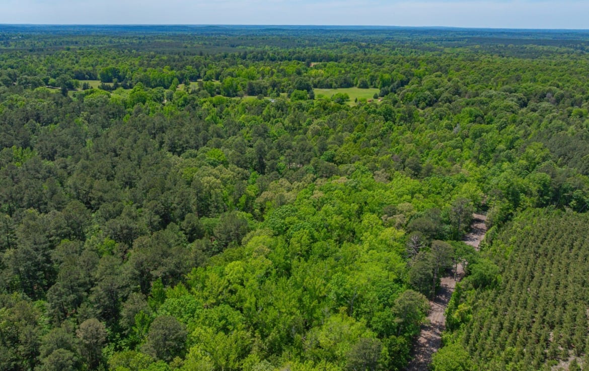 262 acres in Cass County