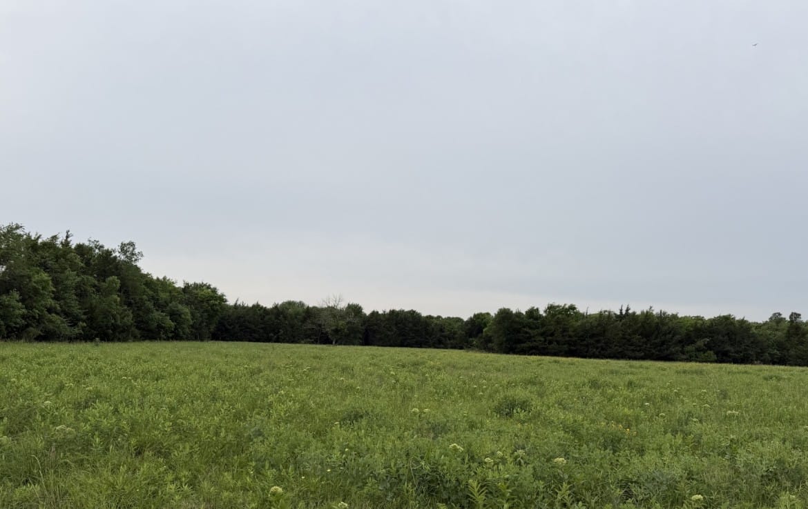 30 acres in Red River County