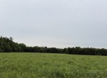 30 acres in Red River County
