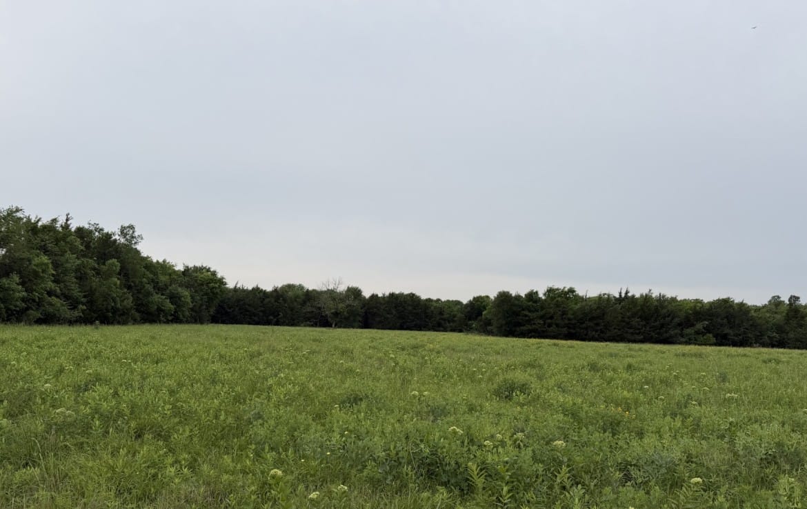 30 acres in Red River County