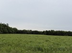30 acres in Red River County