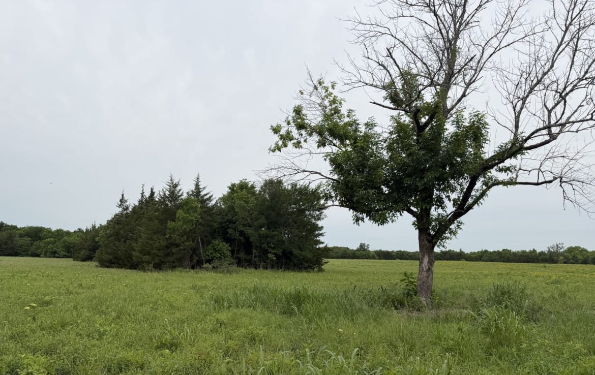 30 acres in Red River County