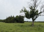 30 acres in Red River County