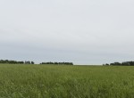30 acres in Red River County