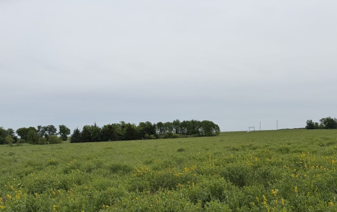 30 acres in Red River County