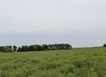 30 acres in Red River County