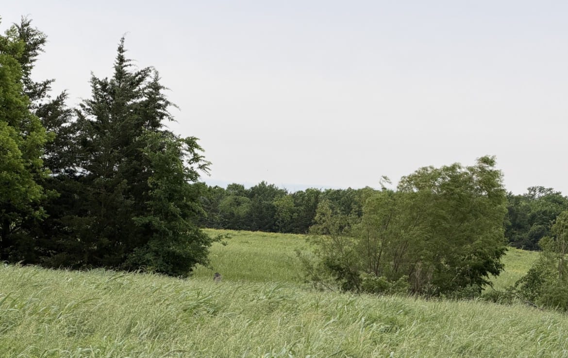 30 acres in Red River County