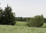 30 acres in Red River County