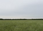 30 acres in Red River County